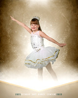 wd 17 w:o dance