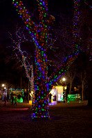 Christmas in the Park