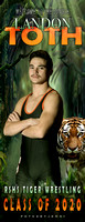 Toth wTiger